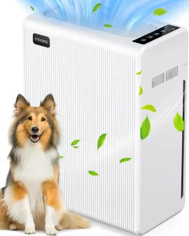 Air Purifiers for Home Large Room up to 1740ft, H13 HEPA Air Filter for Pets Hair Dander Smoke Pollen Dust, Non-Ozone, Portable Air Purifiers for Bedroom Office Living Room, E-300L, White
