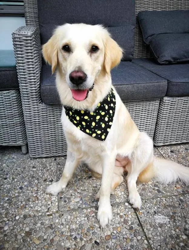 Beach Bum - Eco-Friendly Snap On Bandana - Made in the USA