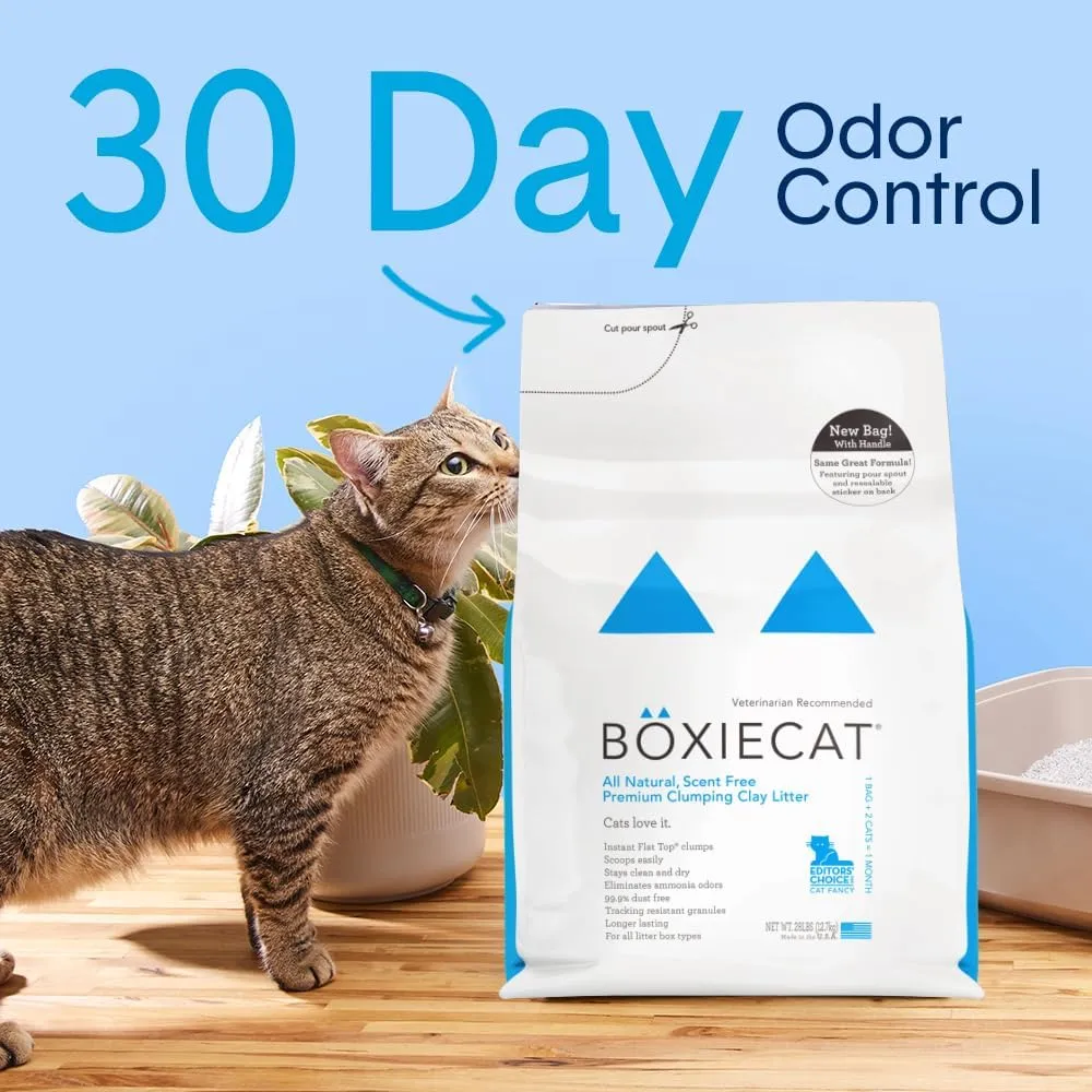 Boxie Unscented 30 Day Natural Odor Control Cat Litter, 16lb Clumping Clay Kitty Litter