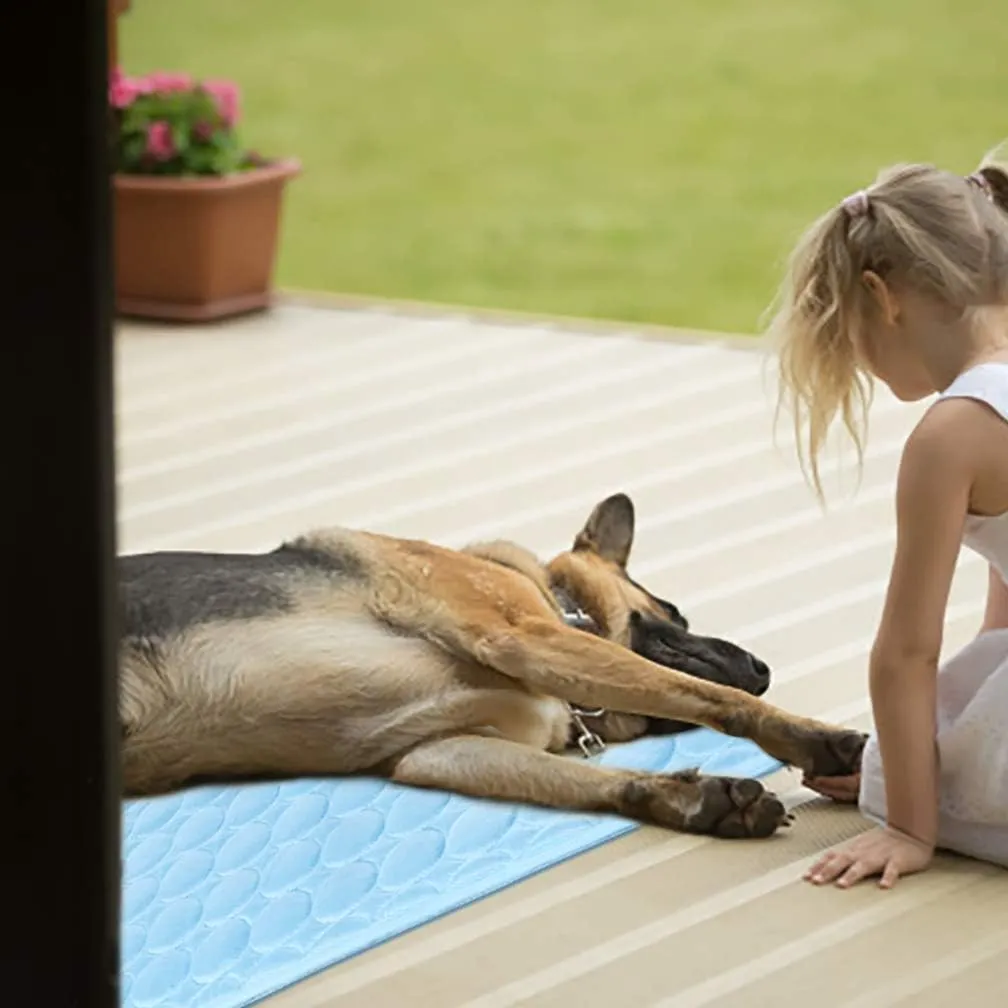 Dog Cooling Mat Washable Ice Silk Cooling Mat for Dogs Waterproof Bottom Summer Sleeping Pad Self Cooling Pad Blanket for Pets (40x28 in, Light Blue)