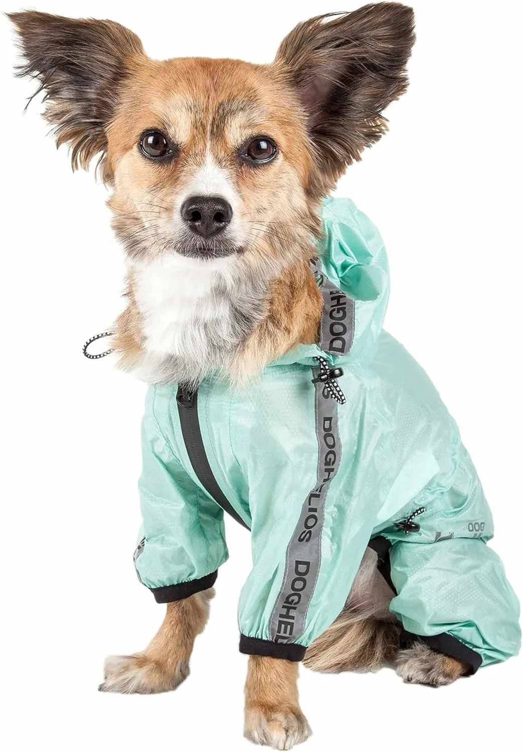 Dog Helios Torrential Shield Waterproof and Adjustable Full Body Dog Raincoat, XS, Green
