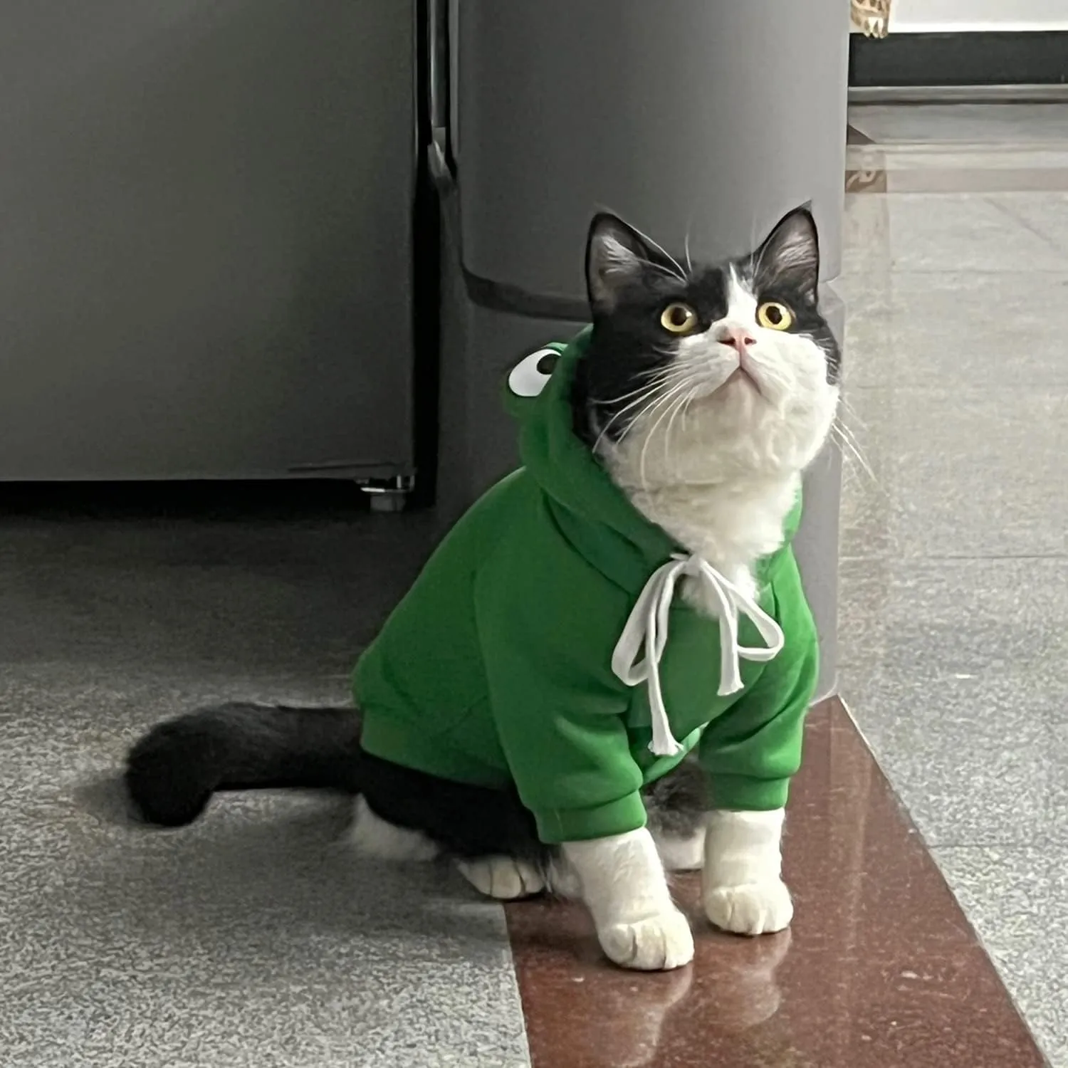 Dog Hoodie Basic Sweater Coat Cute - Frog Shape Warm Jacket Pet Cold Weather Clothes Outfit Outerwear for Cats Puppy Small Medium DogsXL
