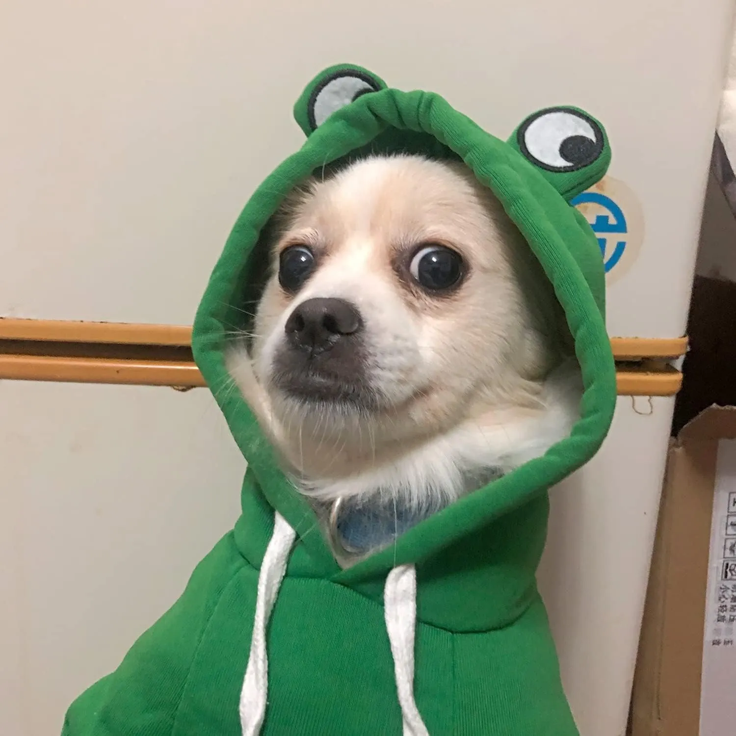 Dog Hoodie Basic Sweater Coat Cute - Frog Shape Warm Jacket Pet Cold Weather Clothes Outfit Outerwear for Cats Puppy Small Medium DogsXL