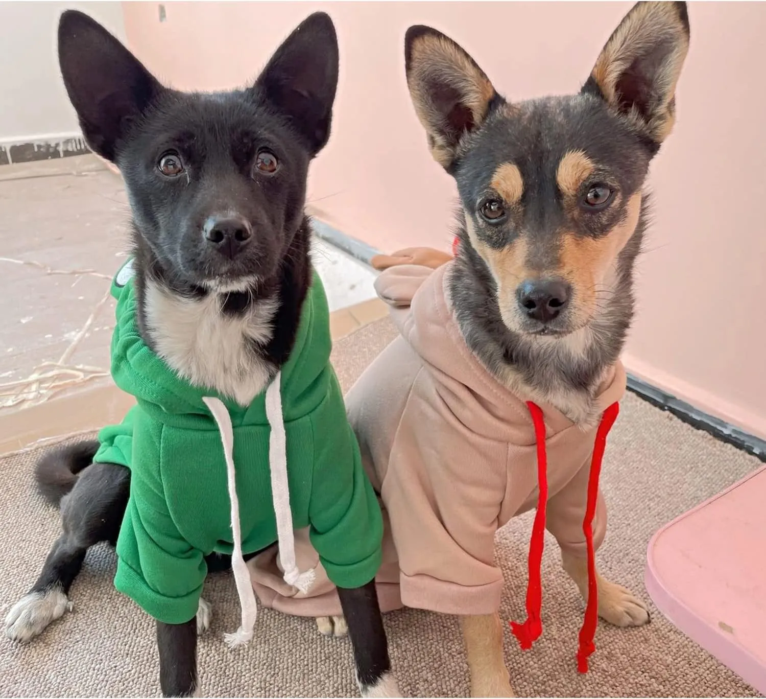 Dog Hoodie Basic Sweater Coat Cute - Frog Shape Warm Jacket Pet Cold Weather Clothes Outfit Outerwear for Cats Puppy Small Medium DogsXL
