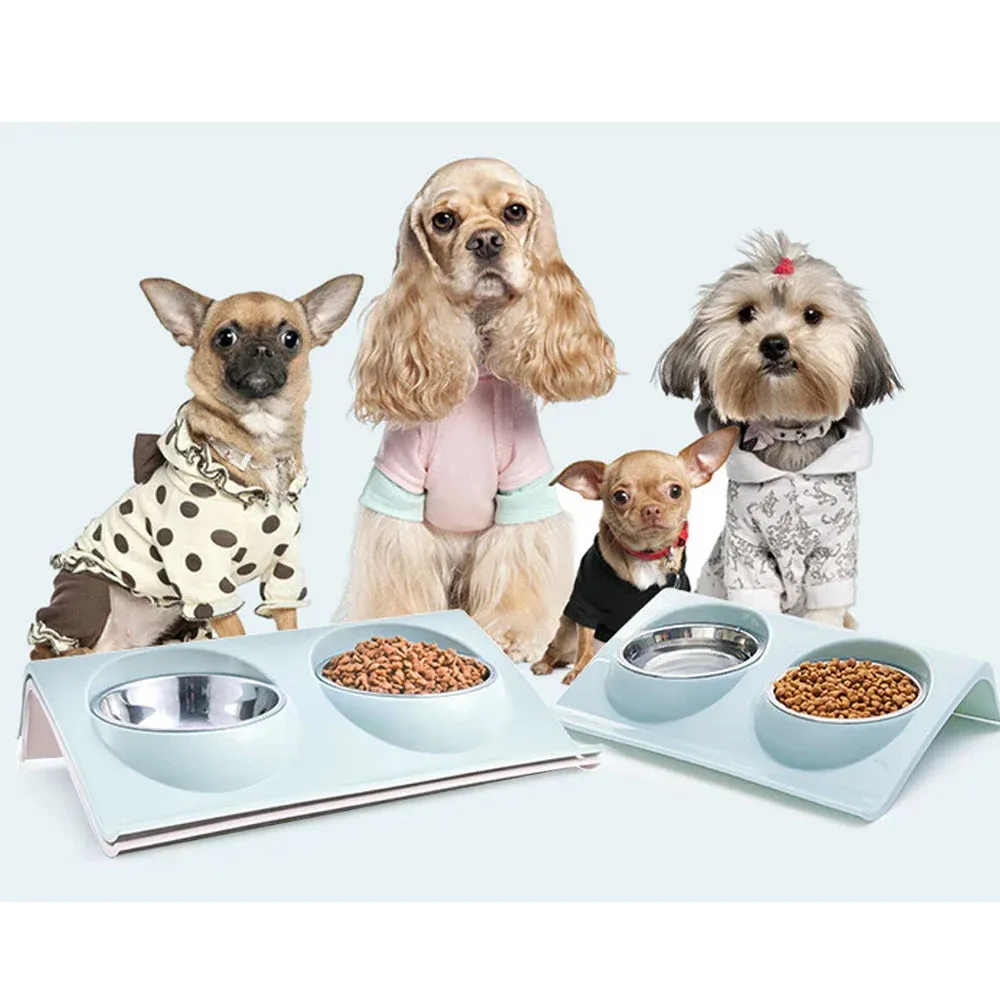 Eco-Friendly Stainless Steel Dual Pet Bowls for Small to Medium Dogs and Cats