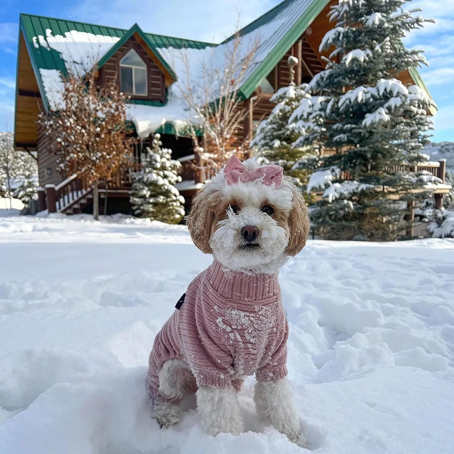Fitwarm Turtleneck Knitted Dog Sweater Puppy Pajamas Thermal Doggie Winter Clothes Knitwear Pet Coats Cat Apparel Pink Medium