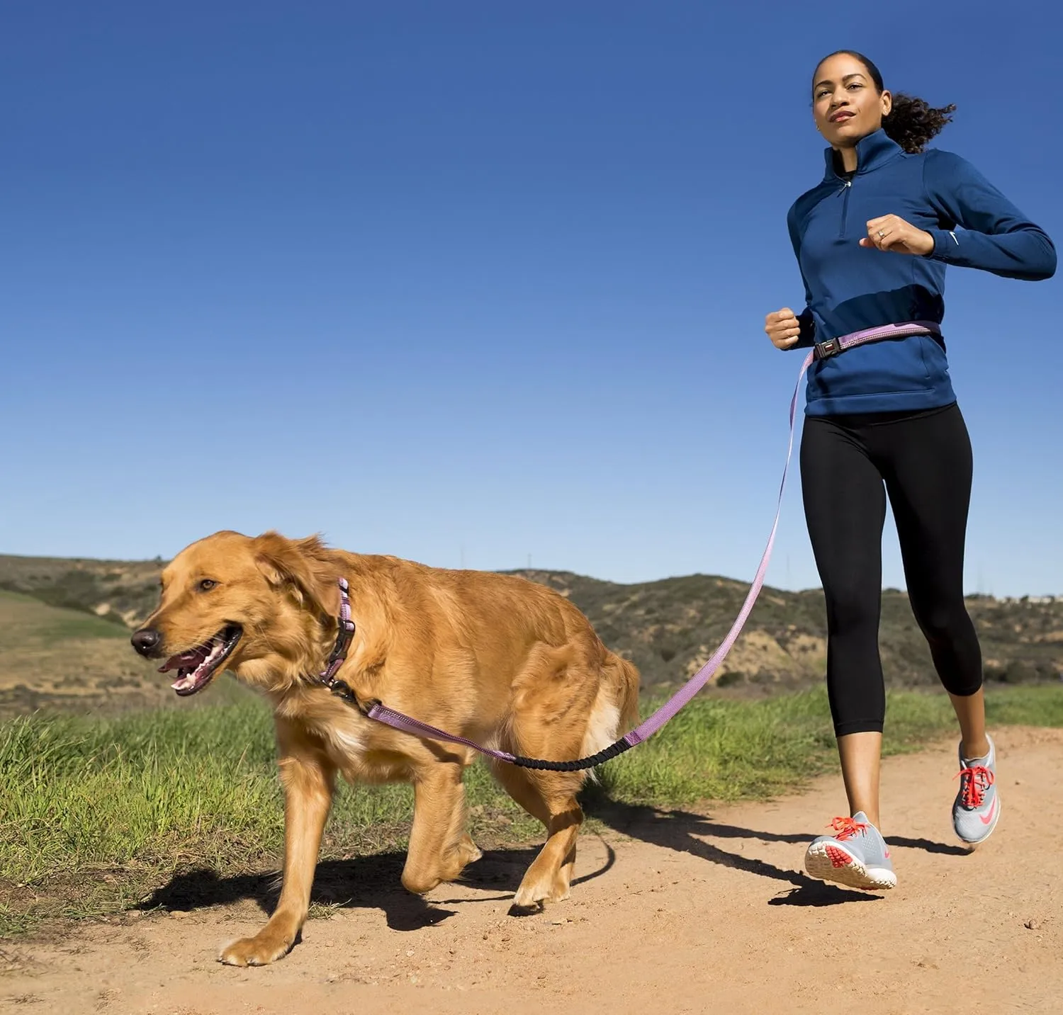 HALTI Active Leash - Award-Winning Bungee Dog Leash, Shock-Absorbing, All-in-One Neoprene Padded Belt & Lead, Perfect for Running & Training with Medium & Large Dogs (Size Large, Blue)