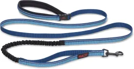 HALTI Active Leash - Award-Winning Bungee Dog Leash, Shock-Absorbing, All-in-One Neoprene Padded Belt & Lead, Perfect for Running & Training with Medium & Large Dogs (Size Large, Blue)
