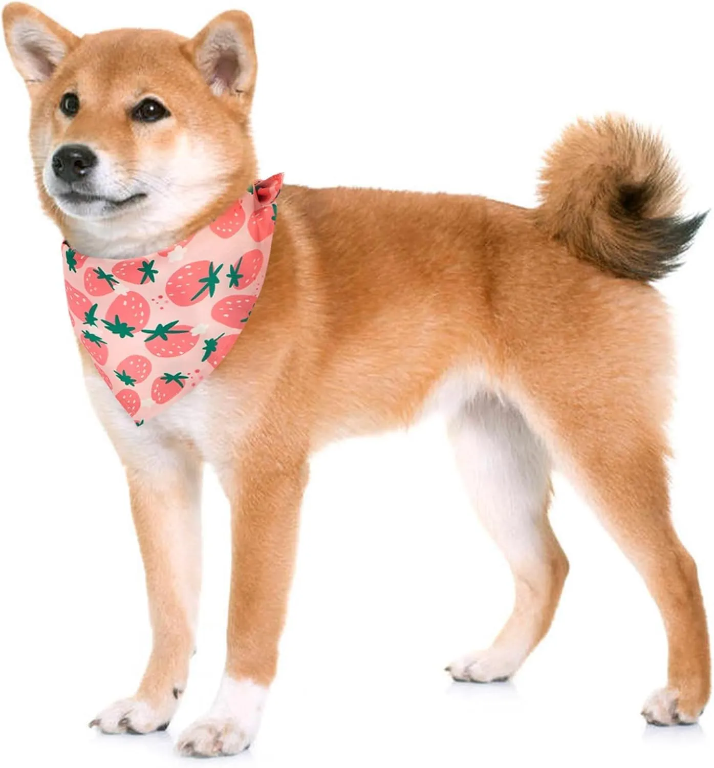 Kuoser Dog Bandanas, Triangle Reversible Fruit Print Pet Bandanas for Boy and Girl, All Seasons Bandana for Small Medium and Large, Pink L