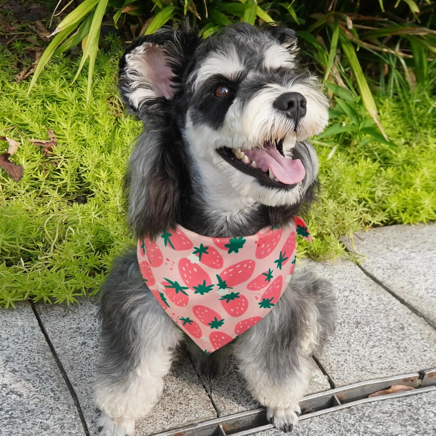 Kuoser Dog Bandanas, Triangle Reversible Fruit Print Pet Bandanas for Boy and Girl, All Seasons Bandana for Small Medium and Large, Pink L