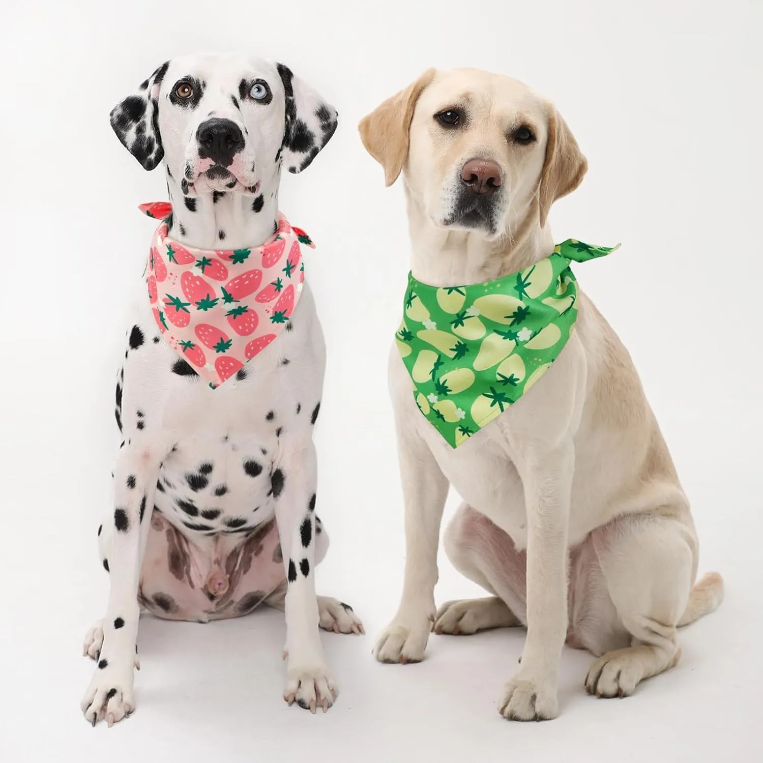 Kuoser Dog Bandanas, Triangle Reversible Fruit Print Pet Bandanas for Boy and Girl, All Seasons Bandana for Small Medium and Large, Pink L
