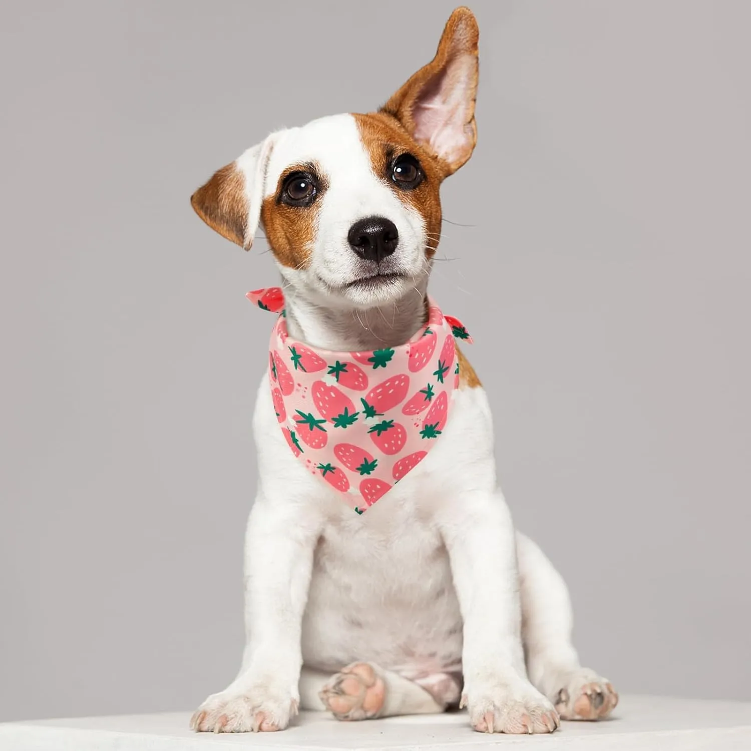 Kuoser Dog Bandanas, Triangle Reversible Fruit Print Pet Bandanas for Boy and Girl, All Seasons Bandana for Small Medium and Large, Pink L