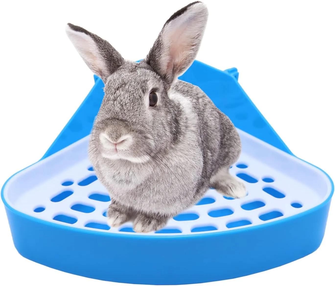 Litewoo Rabbit Litter Box Toilet Bunny Corner Litter Pan Pet Toilet Potty for Guinea Pigs Hamster Chinchilla Ferret Rabbit Small Animal (Blue)