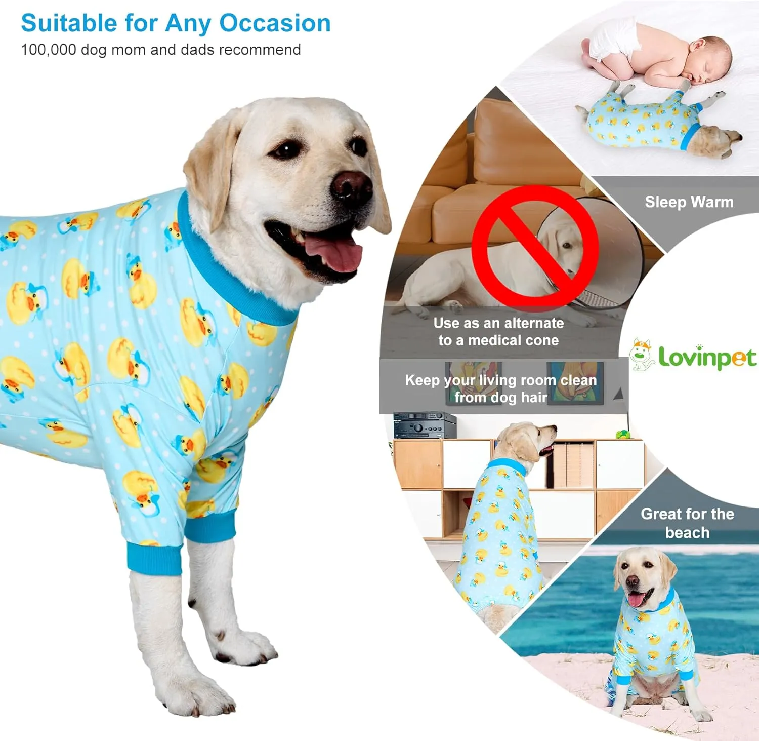 LovinPet Big Dog Wound Care/Surgery Recovery Shirt, Pet Anxiety Shirt, Lightweight Stretchy Knit Fabric, Rubber Ducks with Hats Blue Print Dog Pjs, Weimaraner Pajamas, Pet PJ's/Medium