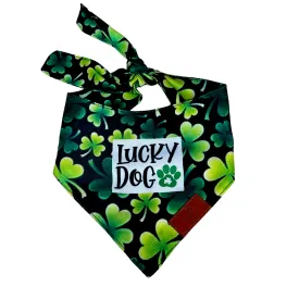 Lucky Dog Fancy Band-Anas For Pets