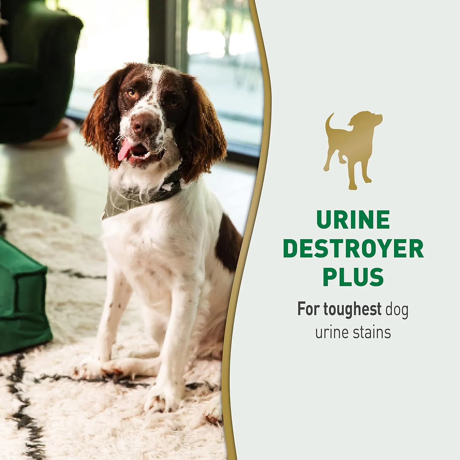 Natures Miracle Urine Destroyer Plus Dog, 32 Ounces, Enzymatic Formula, Ready-to-Use