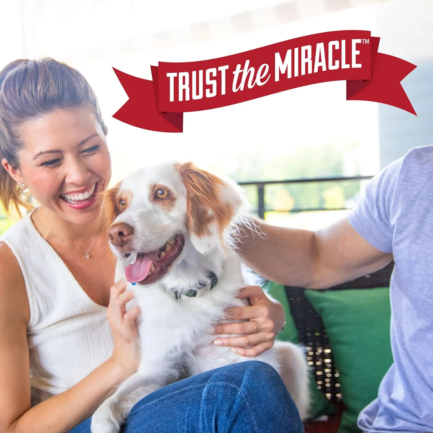 Natures Miracle Urine Destroyer Plus Dog, 32 Ounces, Enzymatic Formula, Ready-to-Use