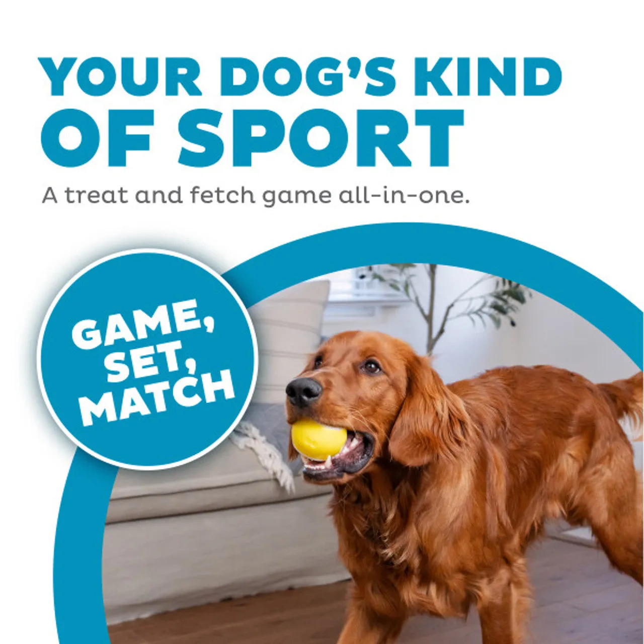 Outward Hound Orbee-Tuff Tennis Ball
