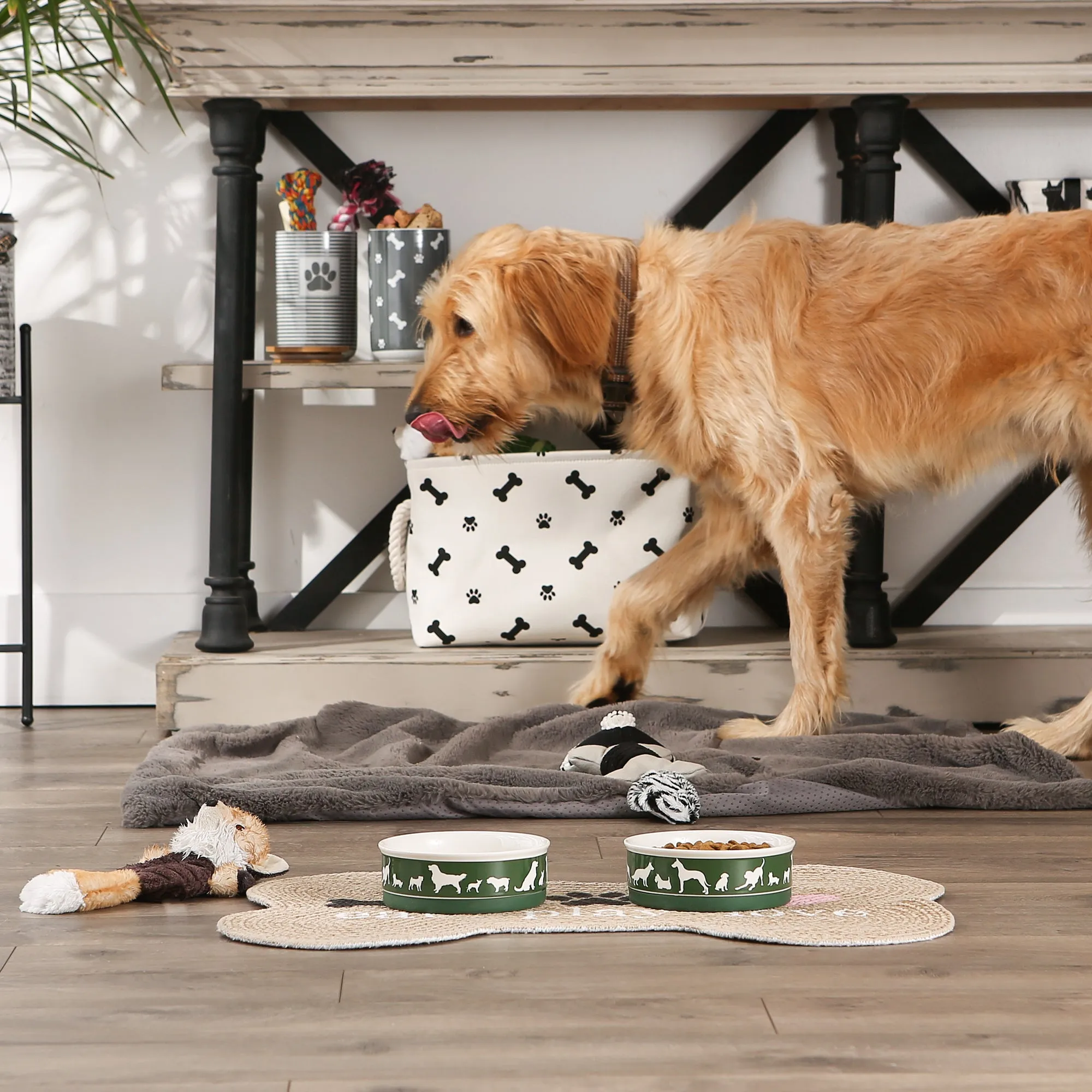 Pet Bowl Dog Show Hunter Green Medium 6Dx2H Set of 2