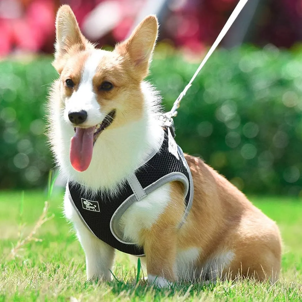 Pet Harness with Leash Universal Escape Proof Dog Cat Harness Adjustable Reflective Step-in Design for Small and Medium Dogs Soft Mesh No Pull No Choke Comfort Fit Black, XS