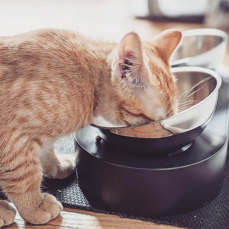Petkit Cybertail Elevated Cat Bowls with 2 Stainless Steel Bowls