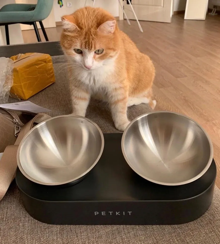 Petkit Cybertail Elevated Cat Bowls with 2 Stainless Steel Bowls