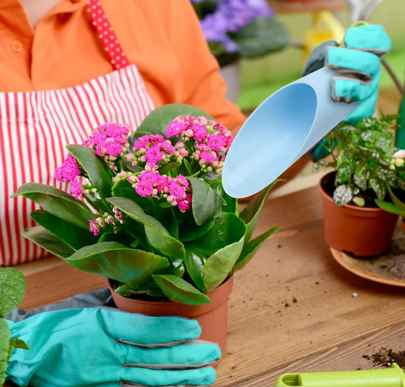 Soil Scoop