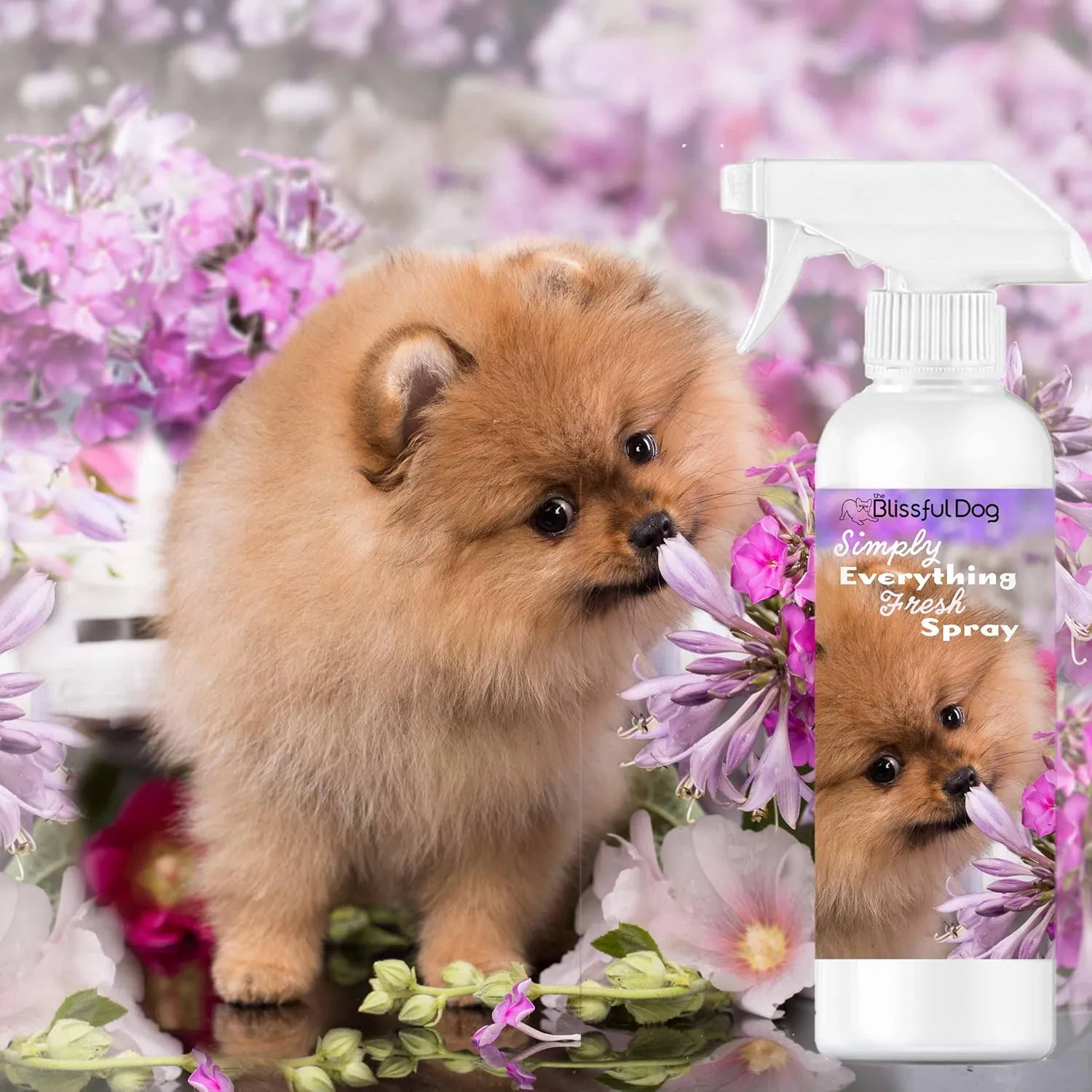 The Blissful Dog Blissfully Fresh Deodorizing Spray, 16-Ounce